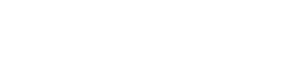 CustomNetSolution.net